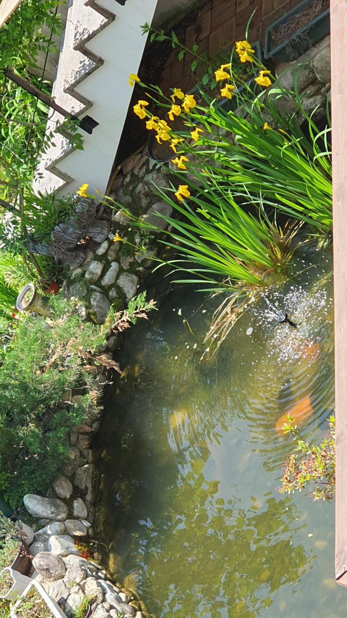 タミャン Saint Paul De Venceヴィラ 部屋 写真